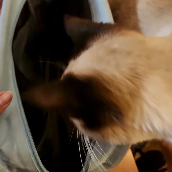 Pastel school bag - Picture 4 of 4